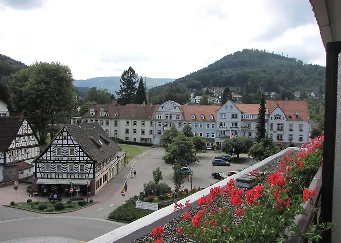 Hotel Harzer am Kurpark